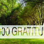Lush green park with trees and 10,000 Gratitudes text overlay, promoting mindfulness and appreciation.